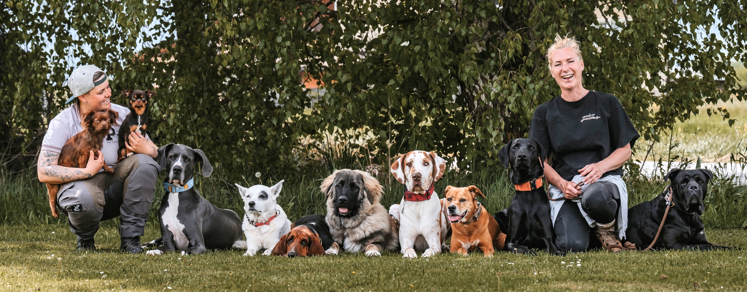 Dognergy<br />
Gruppenbild