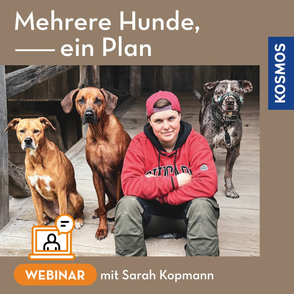 Webinar_Mehrere_Hunde_ein_Plan Webinar Mehrere Hunde ein Plan