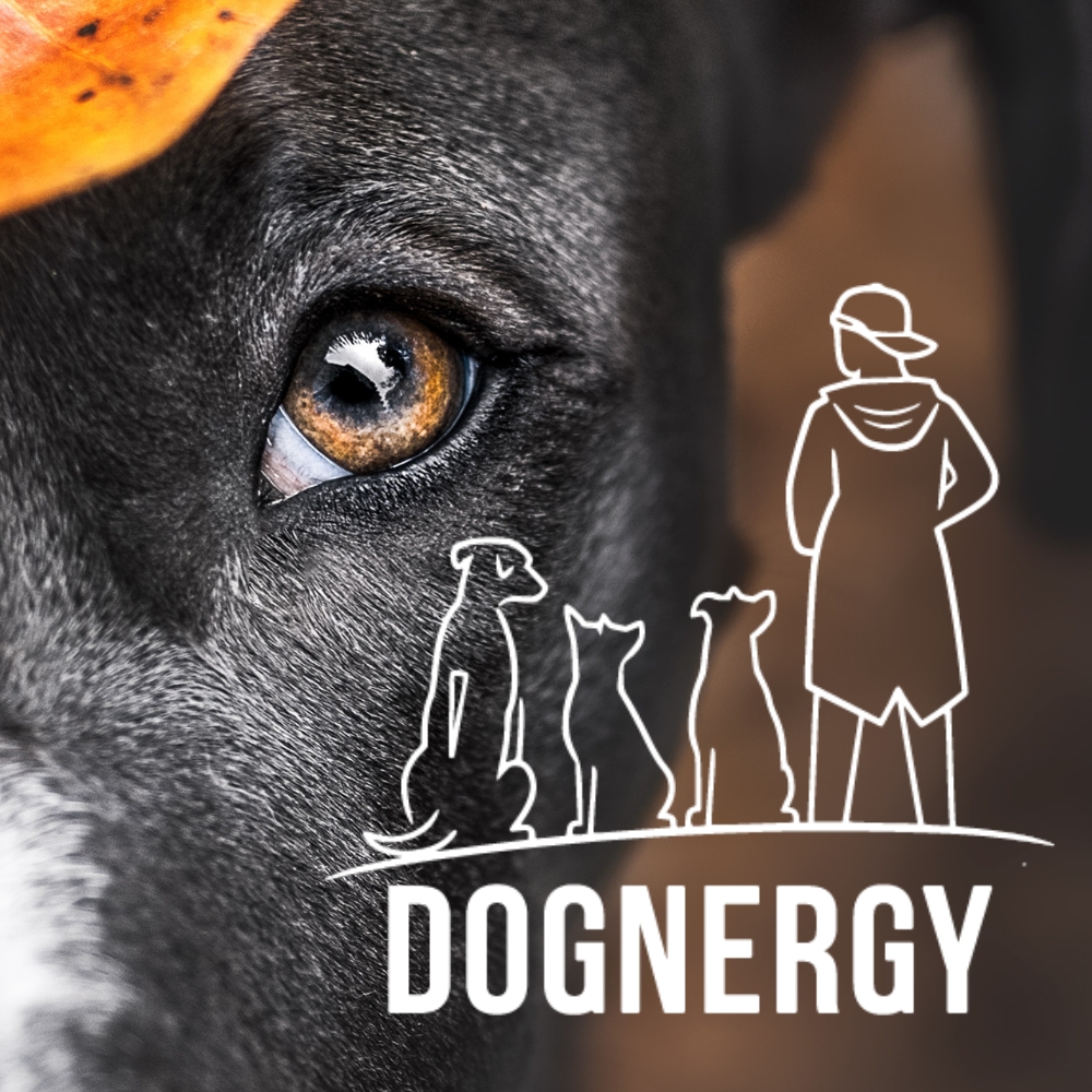 Dognergy Podcast Cover