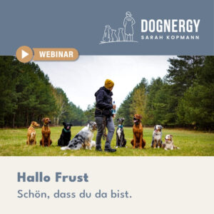 Hallo Frust. Schön, dass du da bist