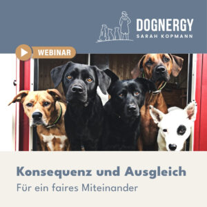 Konsequenz und Ausgleich