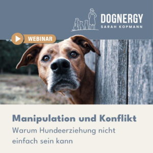 Manipulation und Konflikt