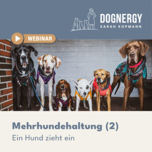 Mehrhundehaltung (2)