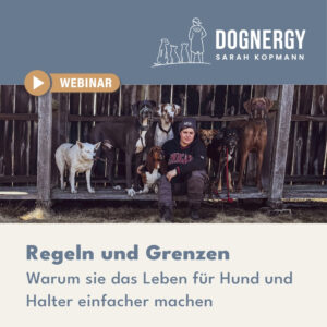 Regeln und Grenzen