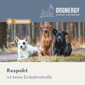Respekt ist keine Einbahnstraße