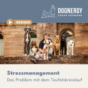 Stressmanagement