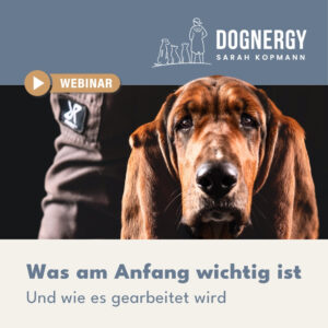 Was am Anfang wichtig ist