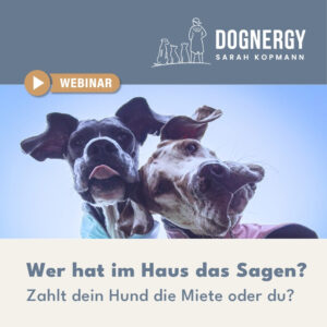 Wer hat im Haus das Sagen?